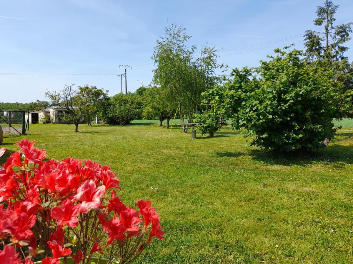 La Rejardiere Aux Portes De Broceliande 伊芬迪克 外观 照片